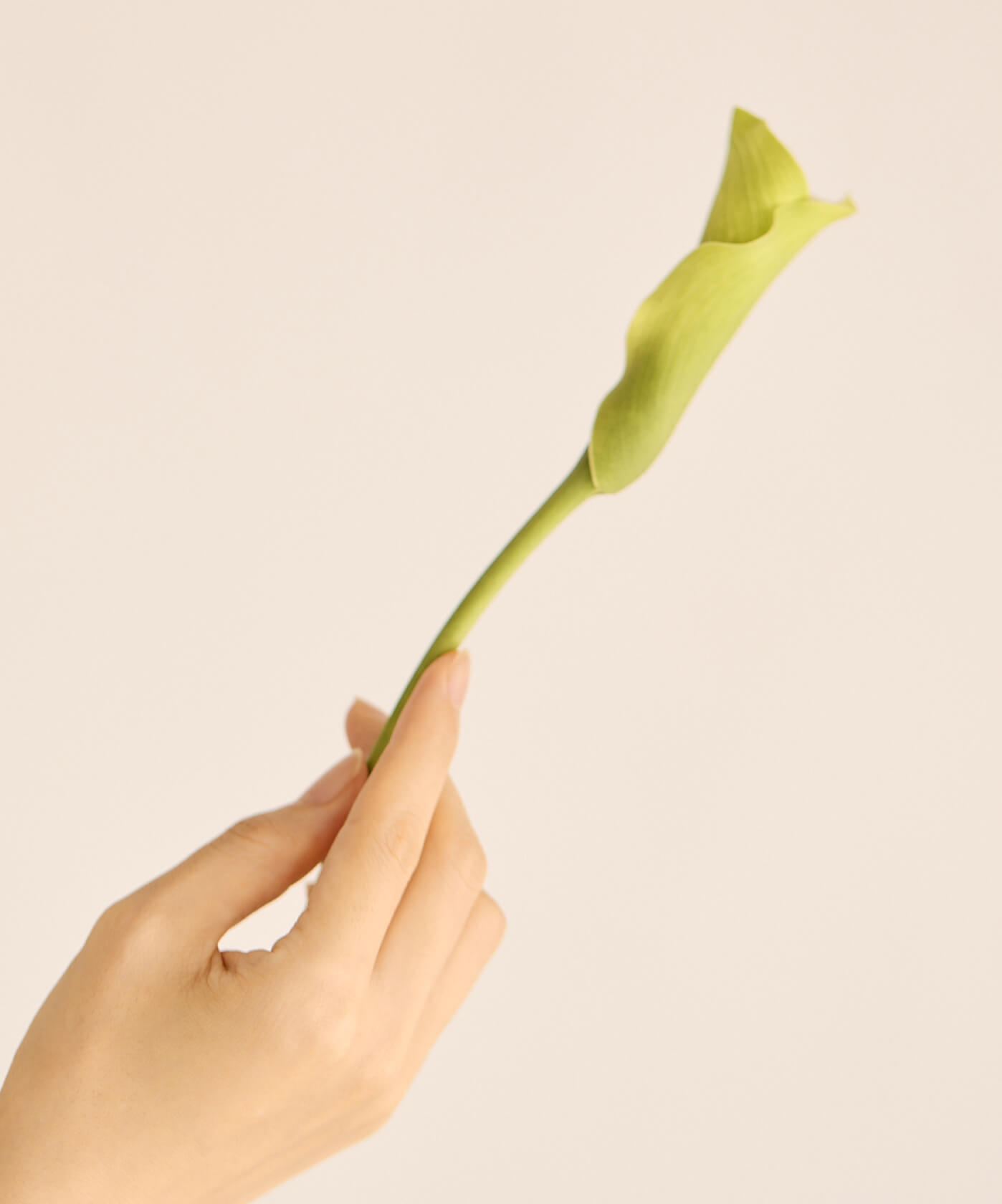 私たちが信じるもの