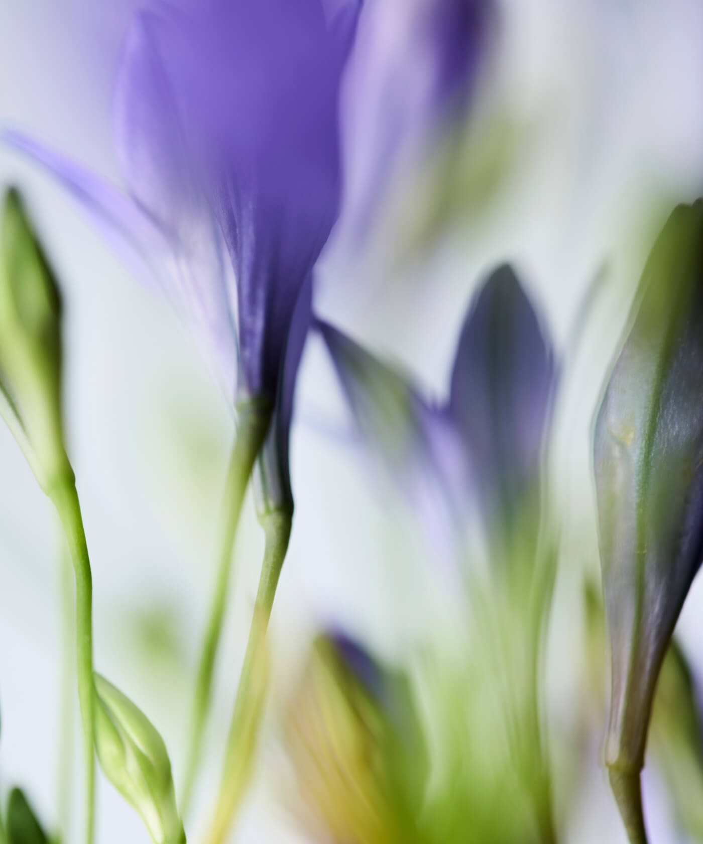 ネイリストへの想い